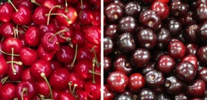 cerezas y picotas